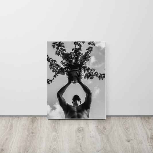 The Offering Canvas Print