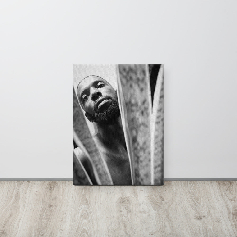 Snake Plant Canvas Print