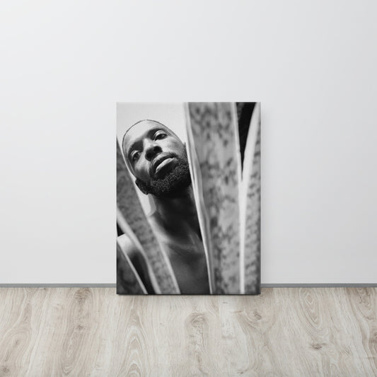 Snake Plant Canvas Print