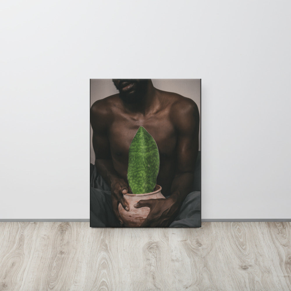 A Whale Fin's Cradle Canvas Print