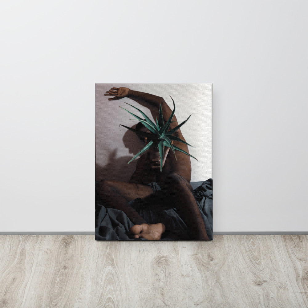 The Plant Daddy and His Aloes Canvas Print