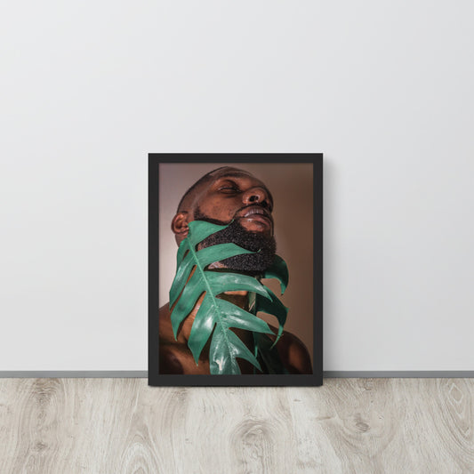 Fenestrations Framed poster