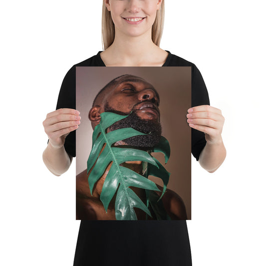Fenestrations Poster
