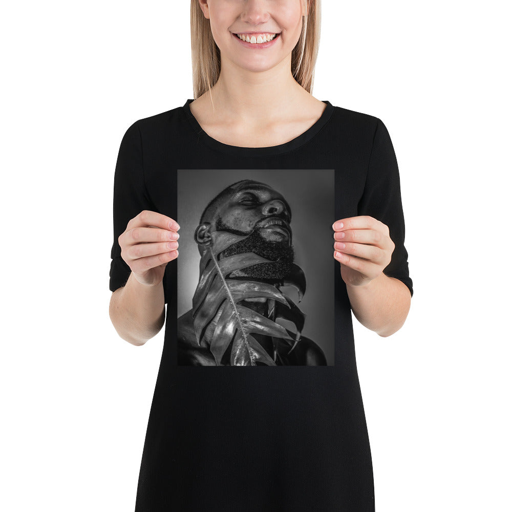 Fenestrations Poster (Black and White)