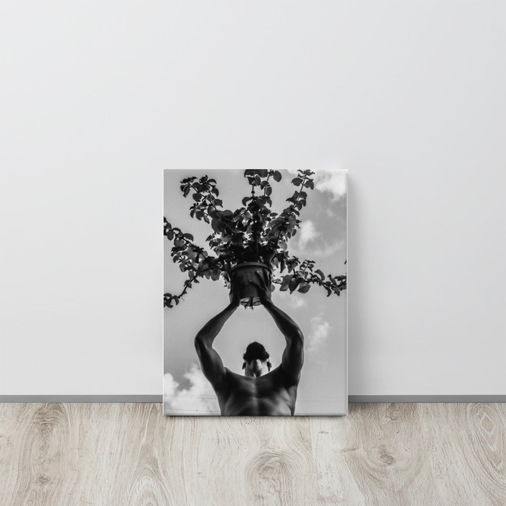 The Offering Canvas Print