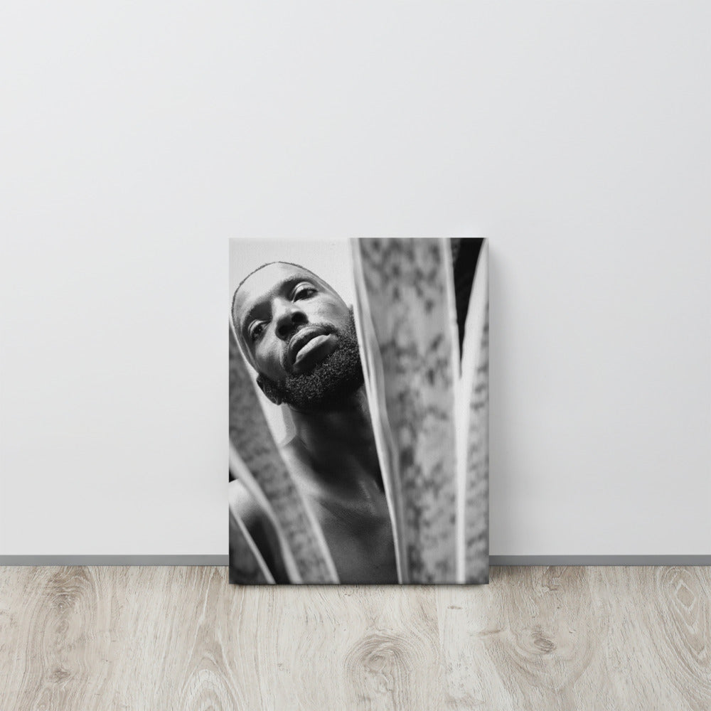 Snake Plant Canvas  Print