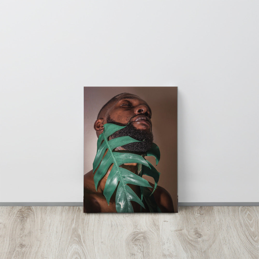 Fenestrations Canvas Print