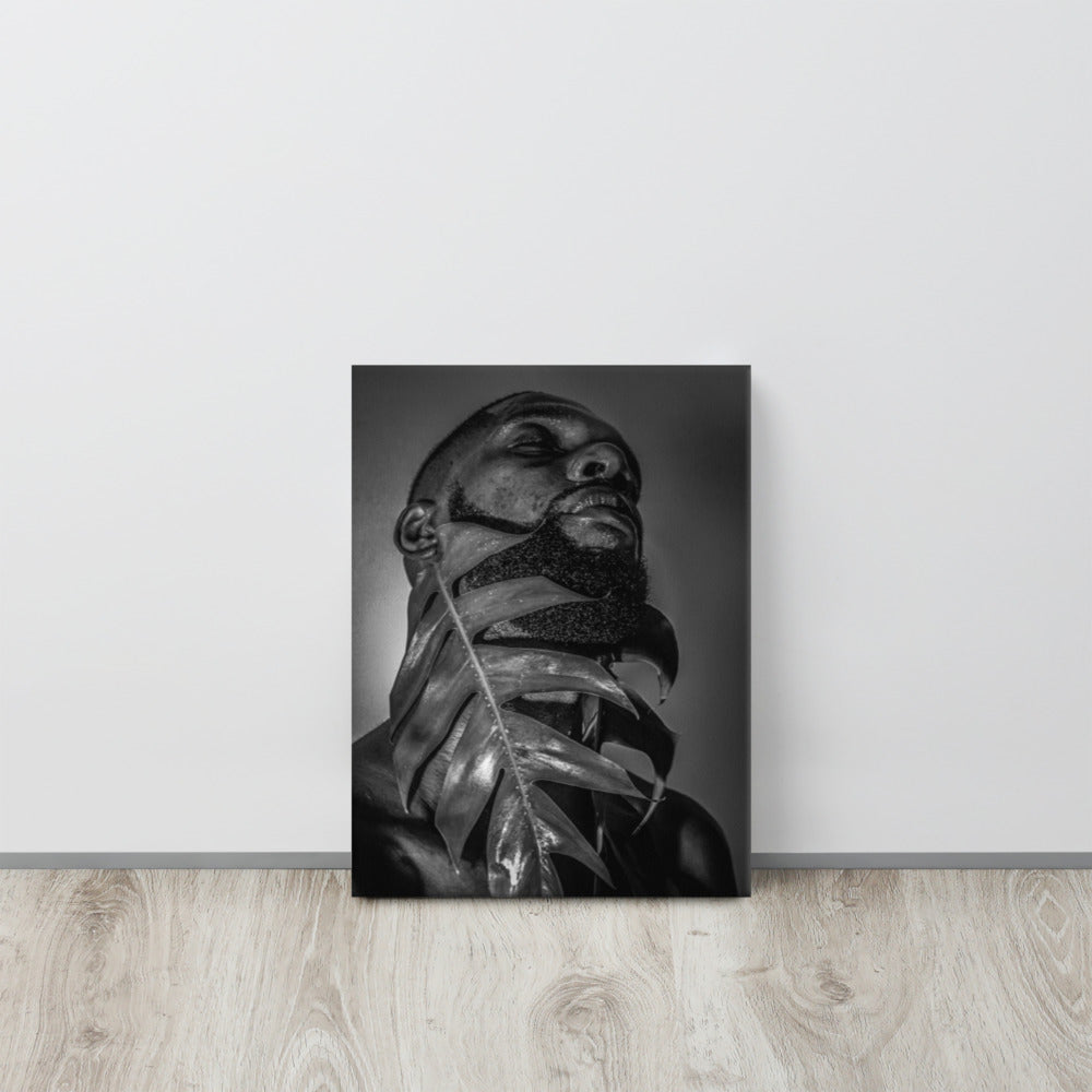 Fenestrations Canvas Print (Black and White)