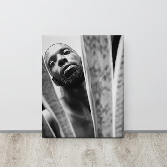 Snake Plant Canvas  Print