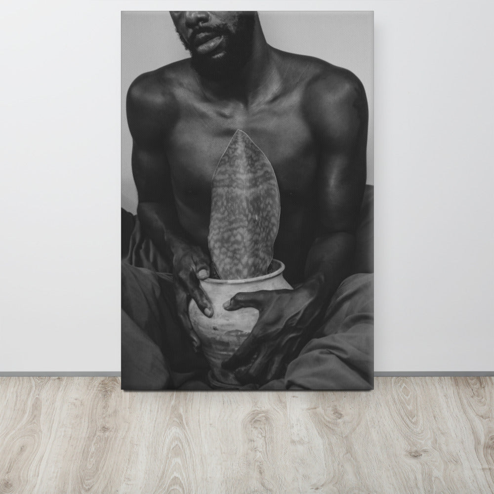 A Whale Fin's Cradle Canvas Print (Black & White)