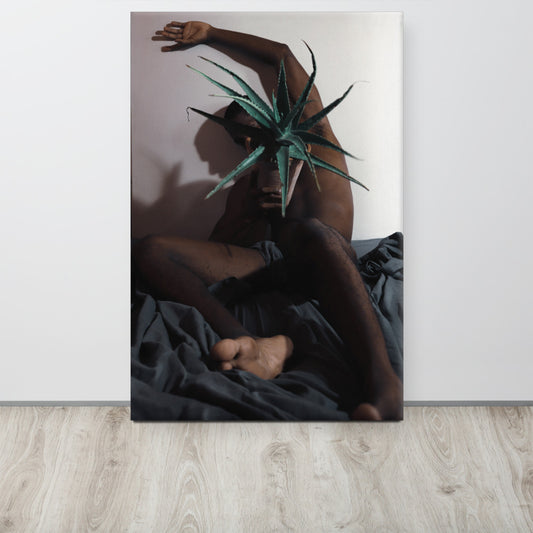 The Plant Daddy and His Aloes Canvas Print