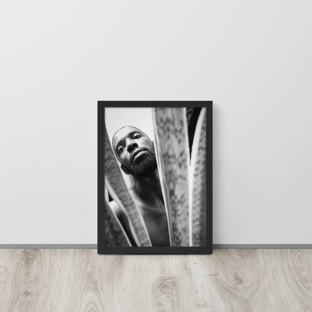 Snake Plant Framed Poster