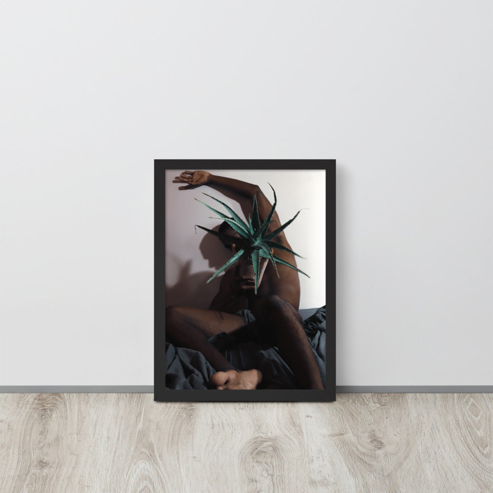 The Plant Daddy and His Aloes Framed poster