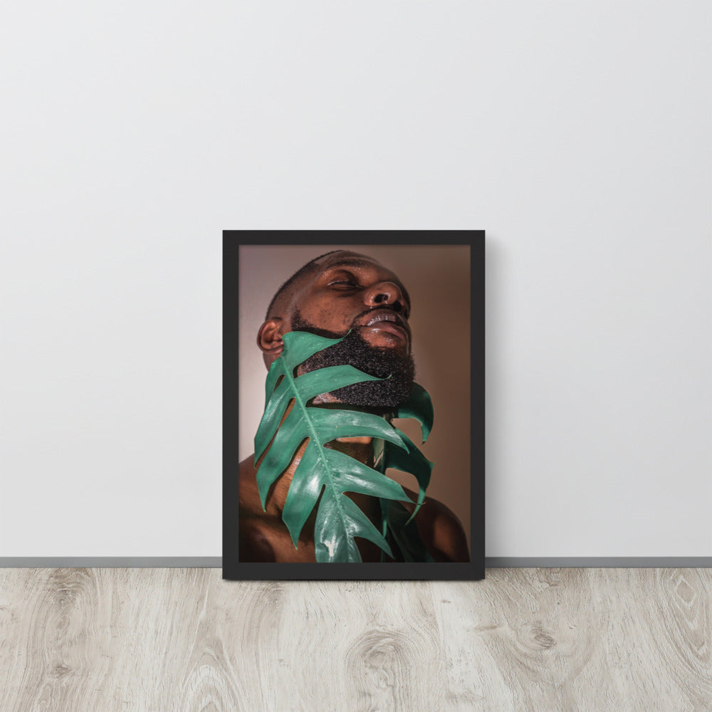 Fenestrations Framed poster