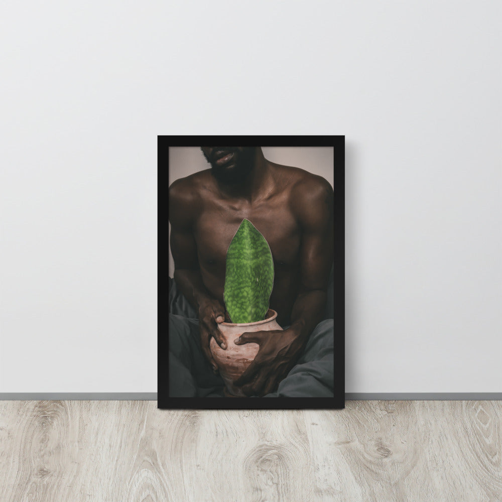 A Whale Fin's Cradle Framed poster