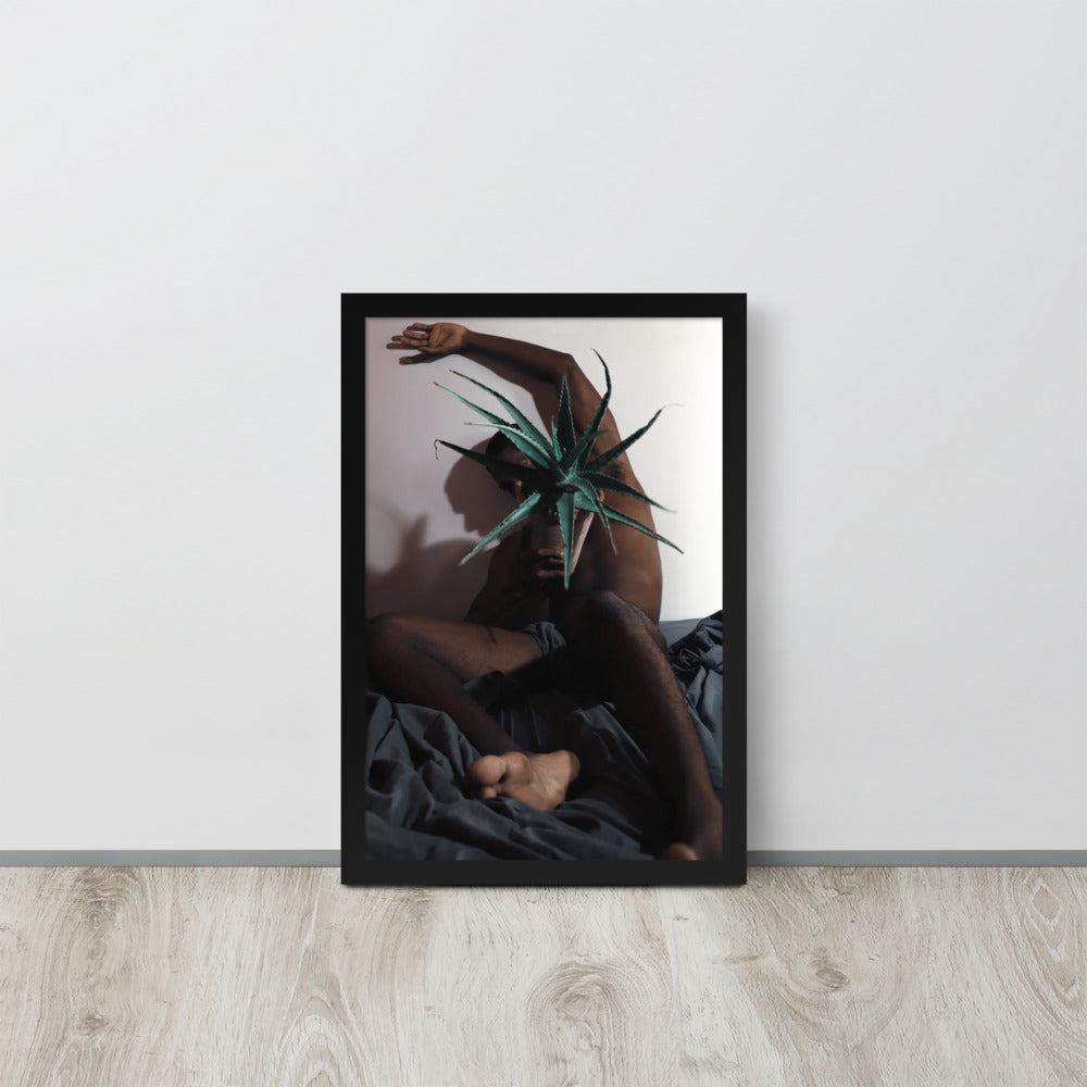 The Plant Daddy and His Aloes Framed poster