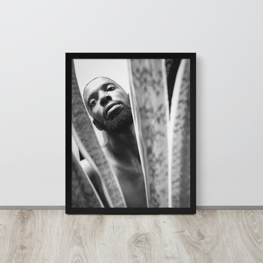 Snake Plant Framed Poster