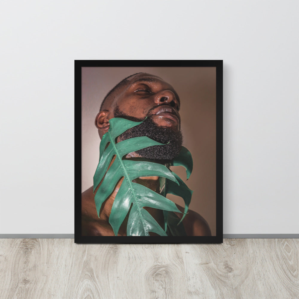 Fenestrations Framed poster