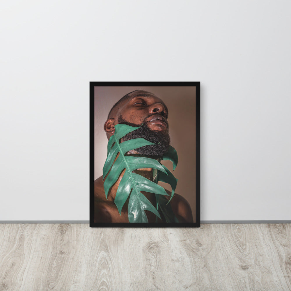 Fenestrations Framed poster