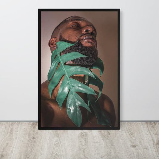 Fenestrations Framed poster