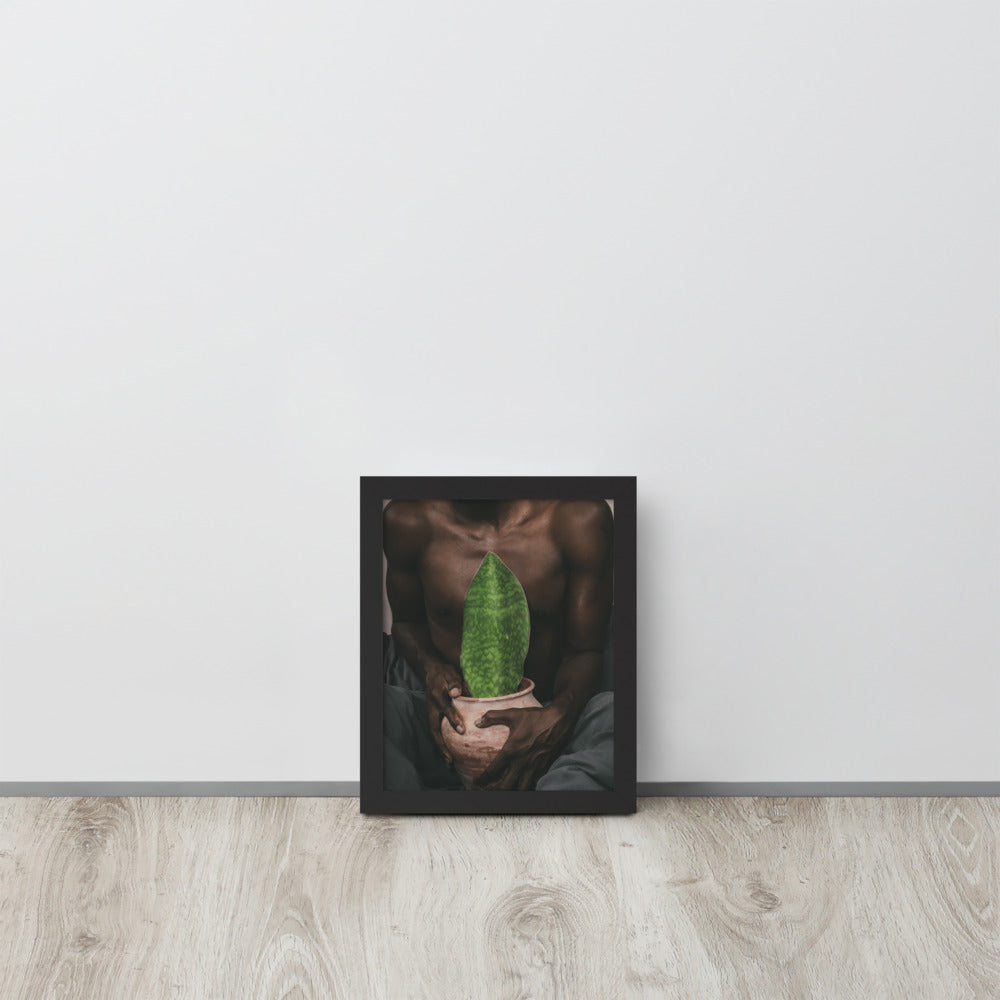 A Whale Fin's Cradle Framed poster
