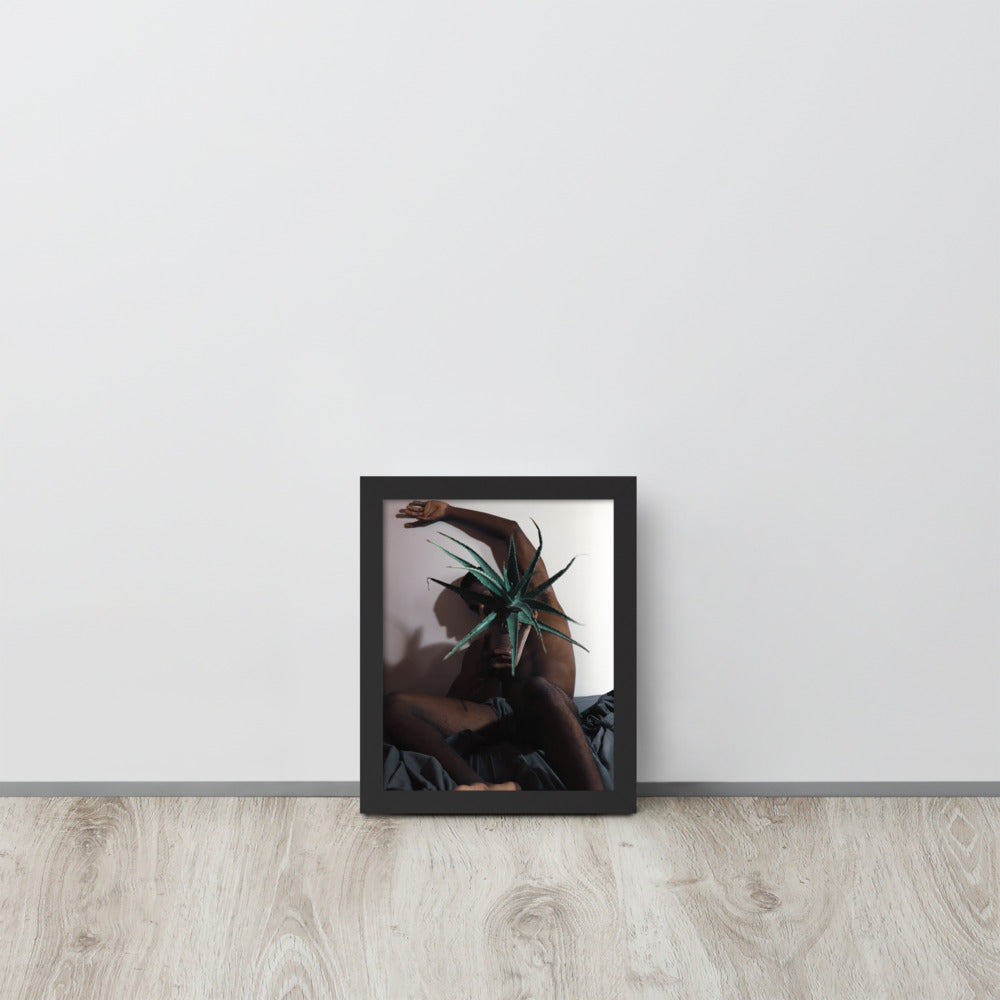 The Plant Daddy and His Aloes Framed poster