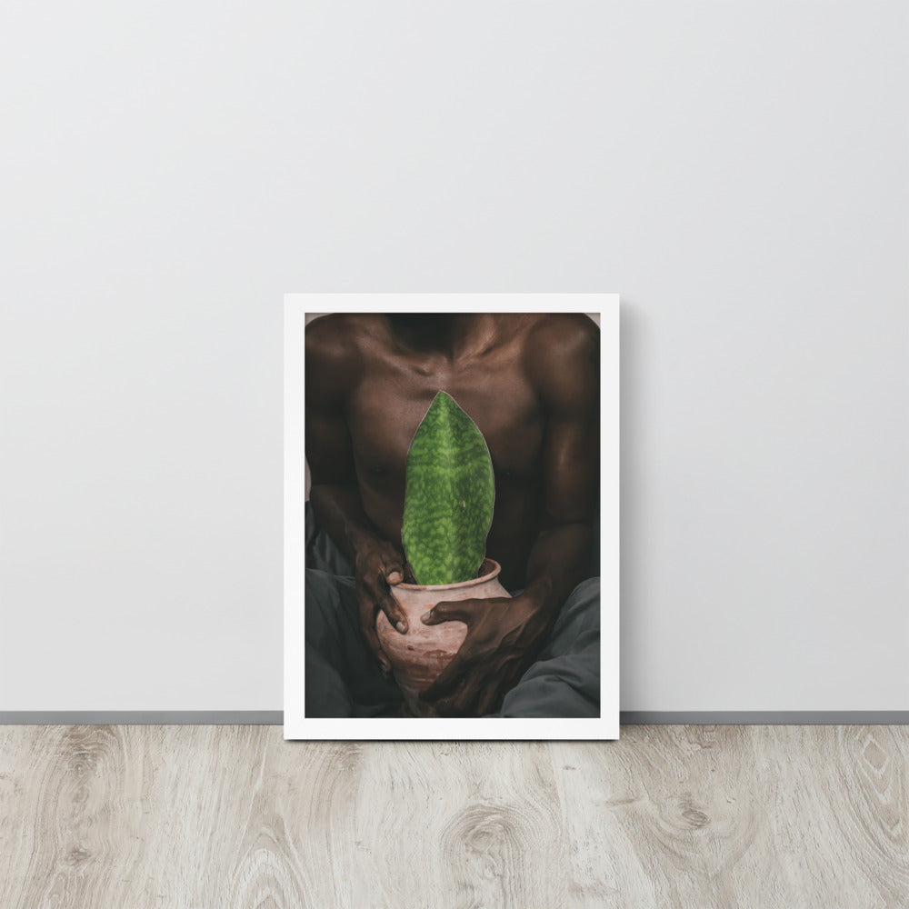 A Whale Fin's Cradle Framed poster