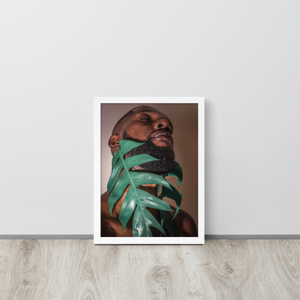 Fenestrations Framed poster