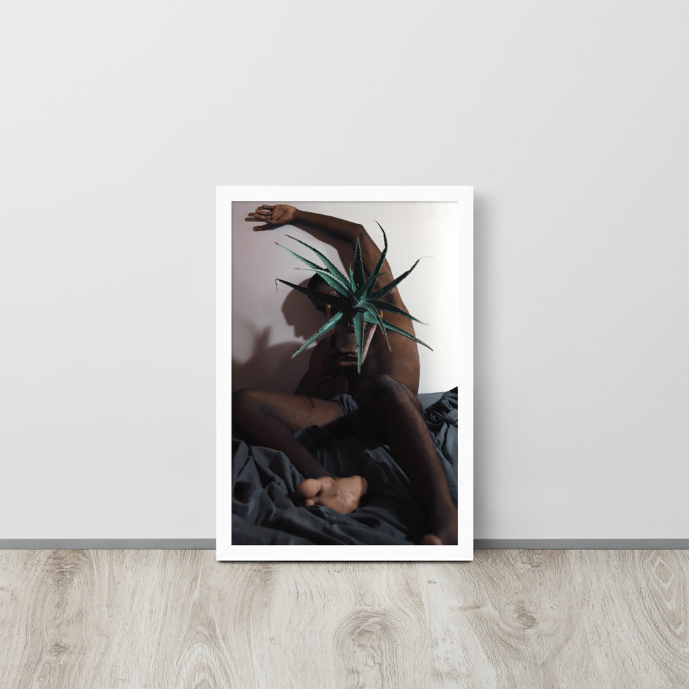 The Plant Daddy and His Aloes Framed poster