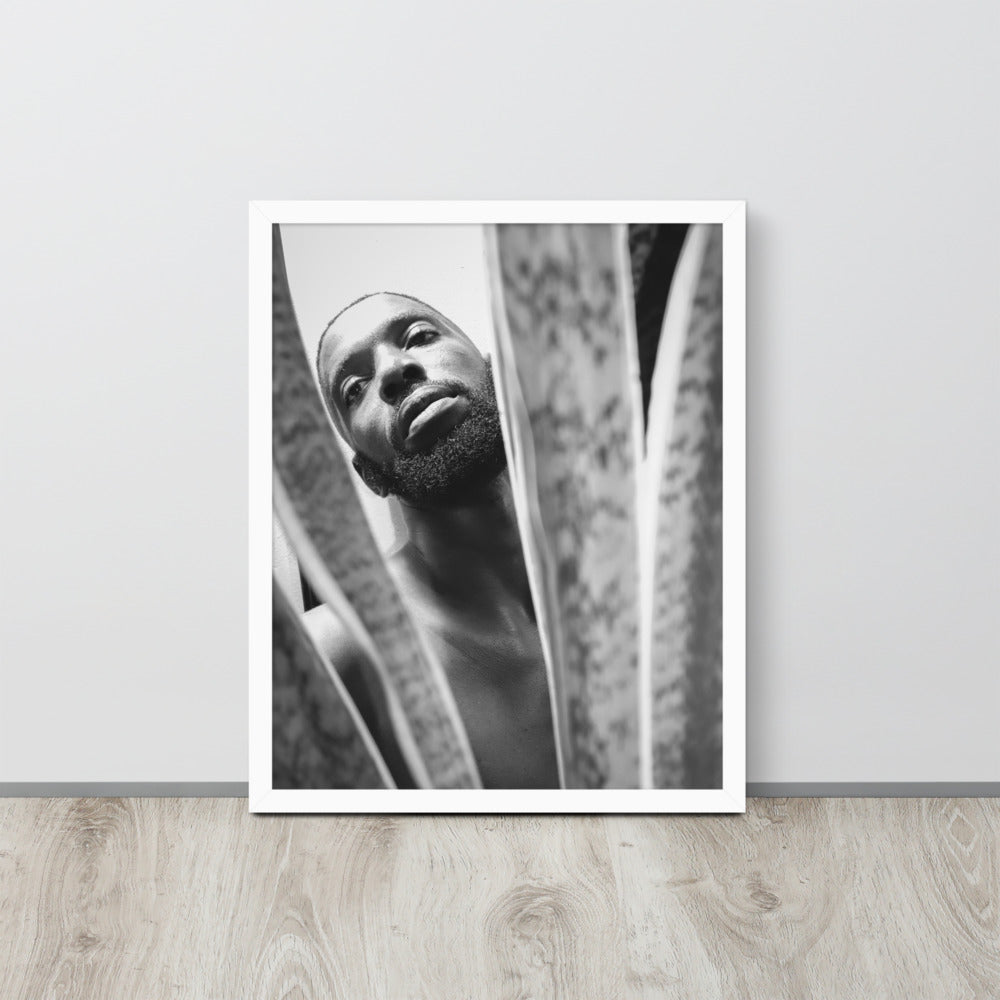 Snake Plant Framed Poster