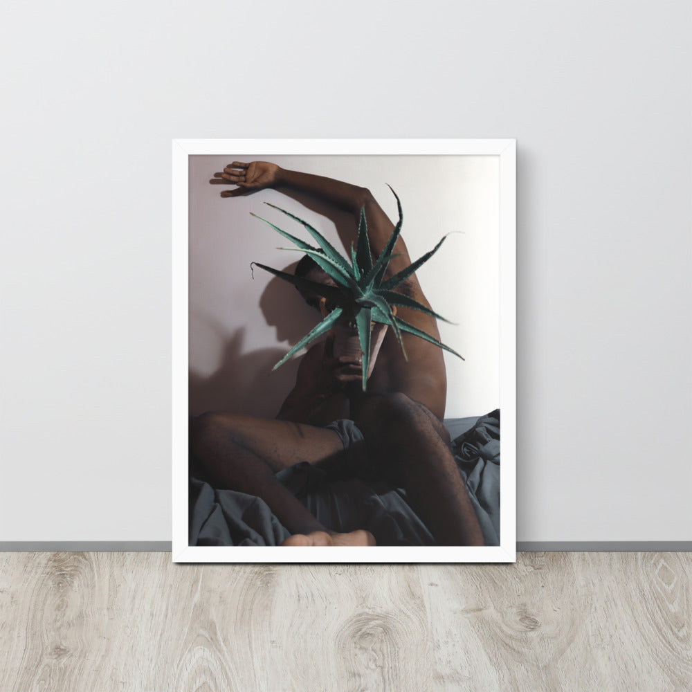 The Plant Daddy and His Aloes Framed poster