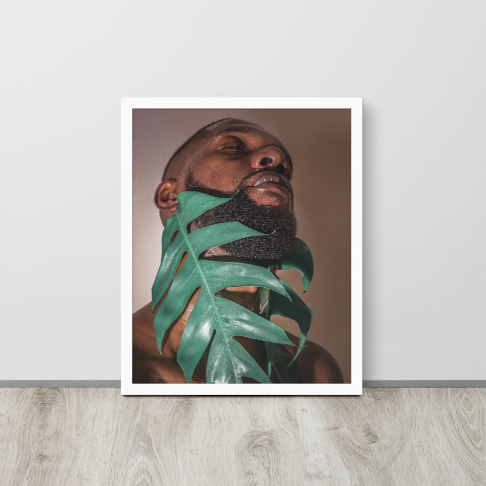 Fenestrations Framed poster