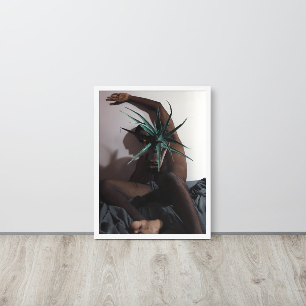 The Plant Daddy and His Aloes Framed poster