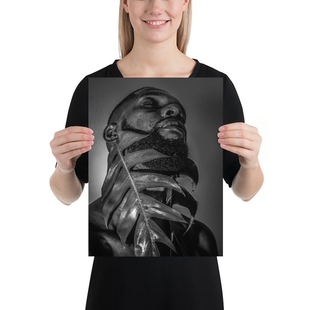 Fenestrations Poster (Black and White)