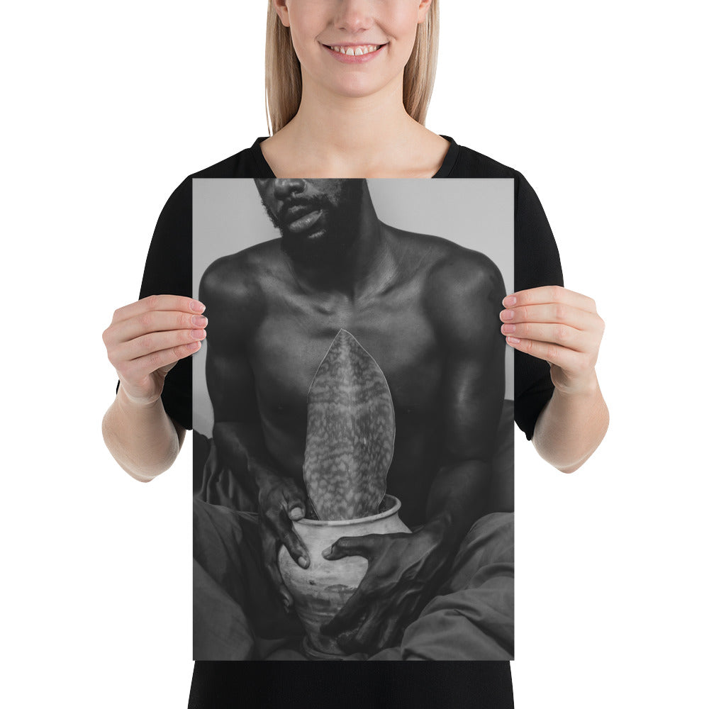 A Whale Fin's Cradle Poster (Black & White)