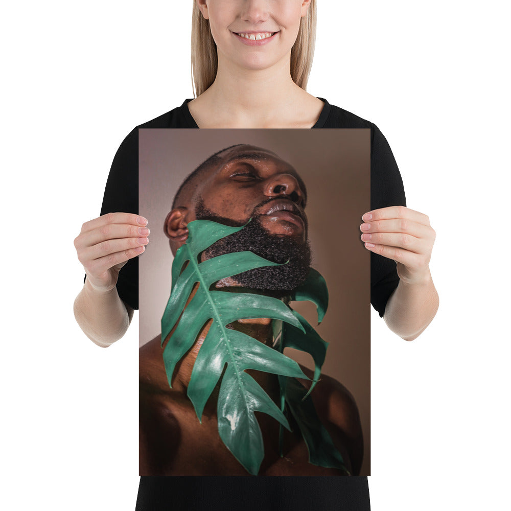 Fenestrations Poster