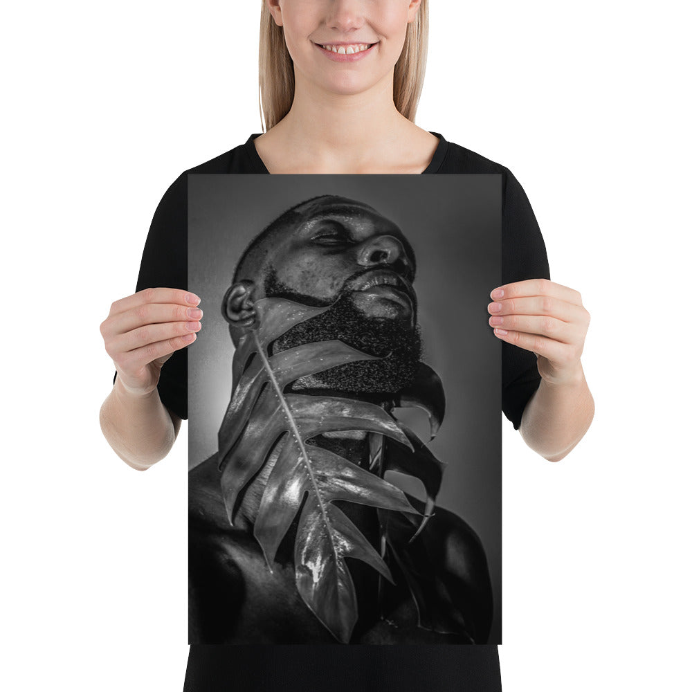 Fenestrations Poster (Black and White)