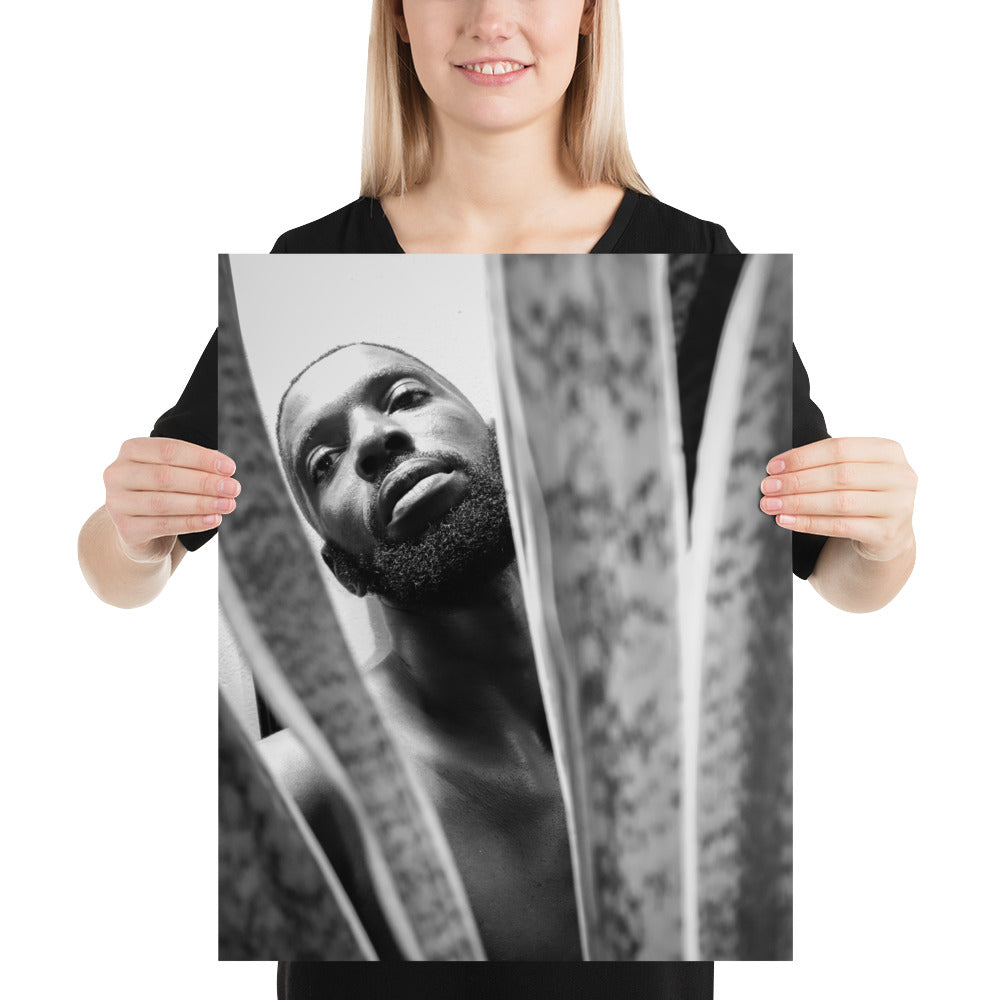 Snake Plant Poster