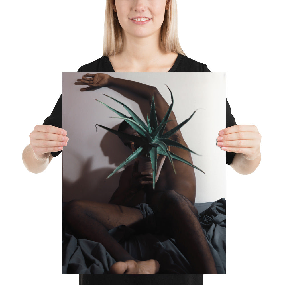 The Plant Daddy and his Aloes Poster