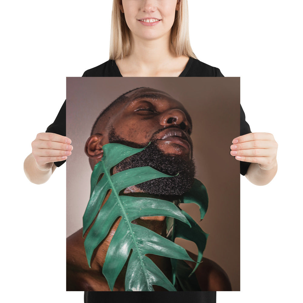 Fenestrations Poster