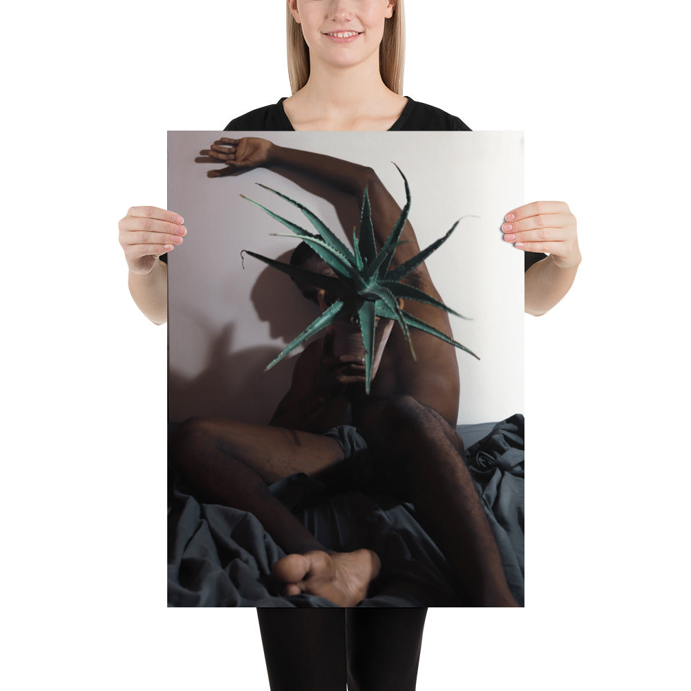 The Plant Daddy and his Aloes Poster