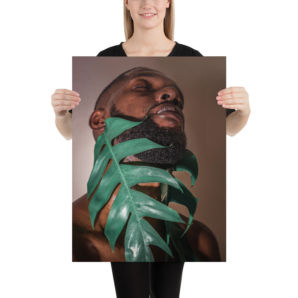 Fenestrations Poster