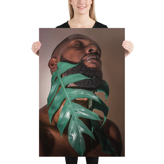 Fenestrations Poster