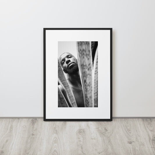 Snake Plant Matte Paper Framed Poster With Mat