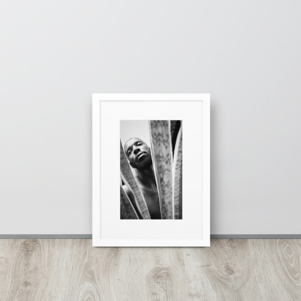 Snake Plant Matte Paper Framed Poster With Mat