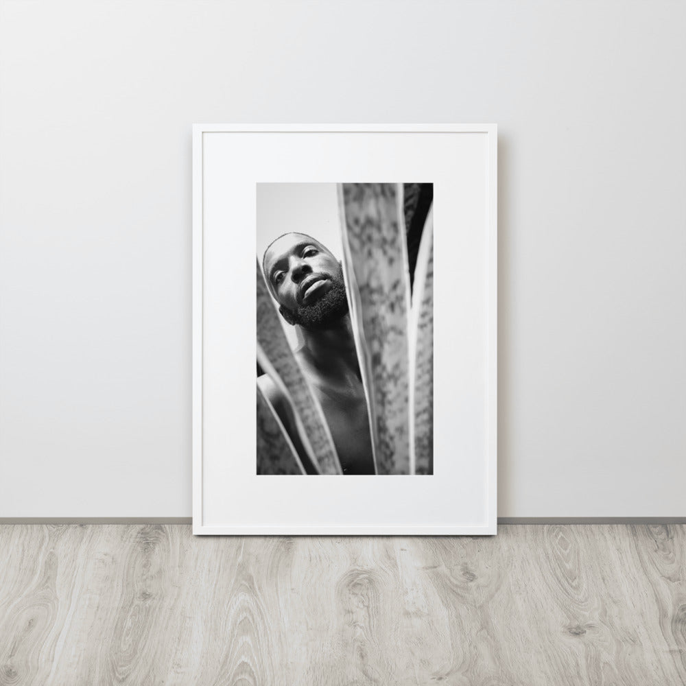 Snake Plant Matte Paper Framed Poster With Mat